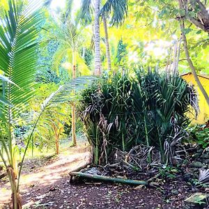 La Familia Guest House And Natural Farm